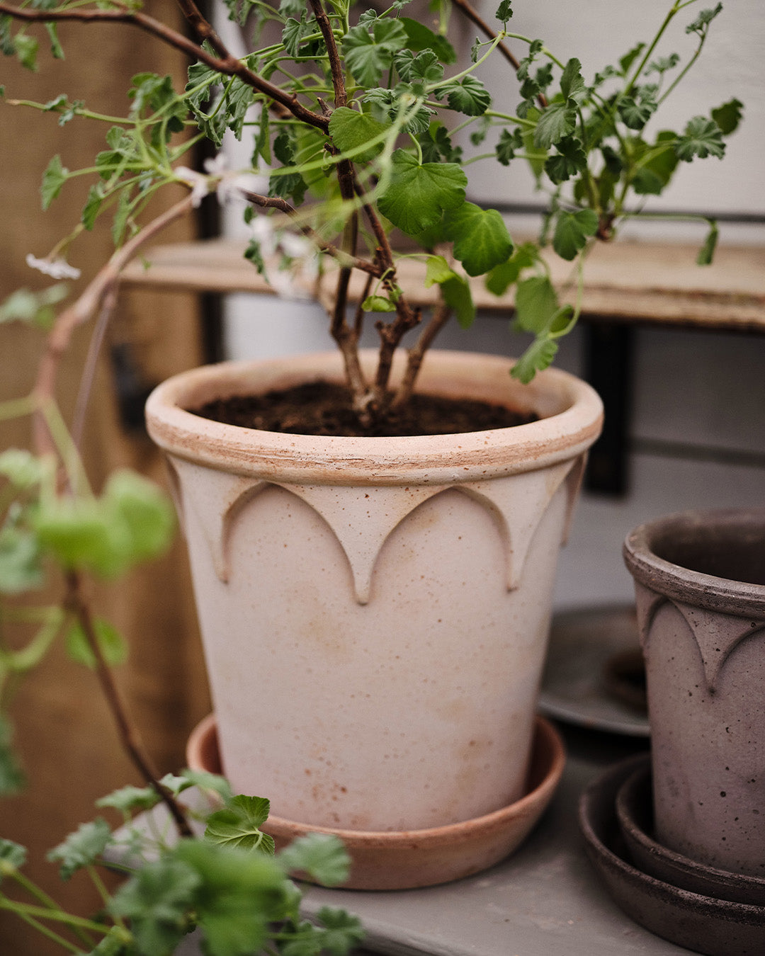 Bergs Potter Elizabeth Pot Rosa Terracotta