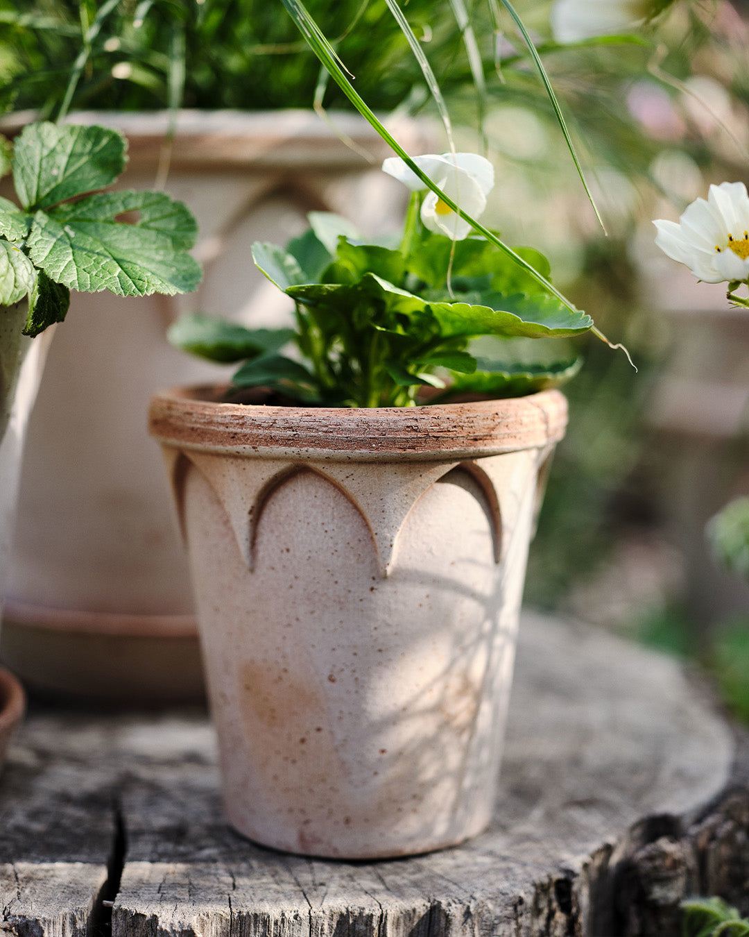 Bergs Potter Elizabeth Pot Rosa Terracotta