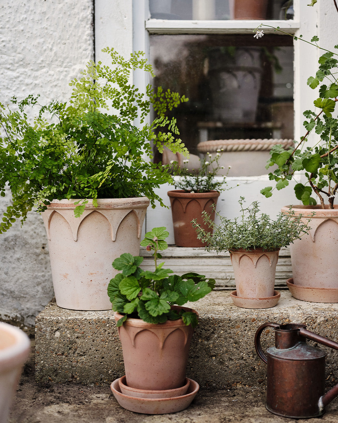 Bergs Potter Elizabeth Pot Rosa Terracotta