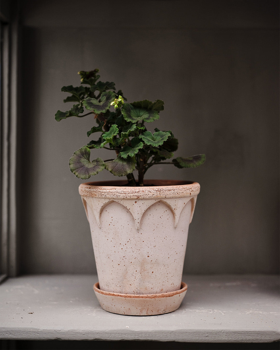 Bergs Potter Elizabeth Pot Rosa Terracotta
