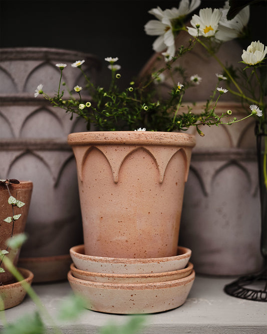 Bergs Potter Elizabeth Pot Rosa Terracotta