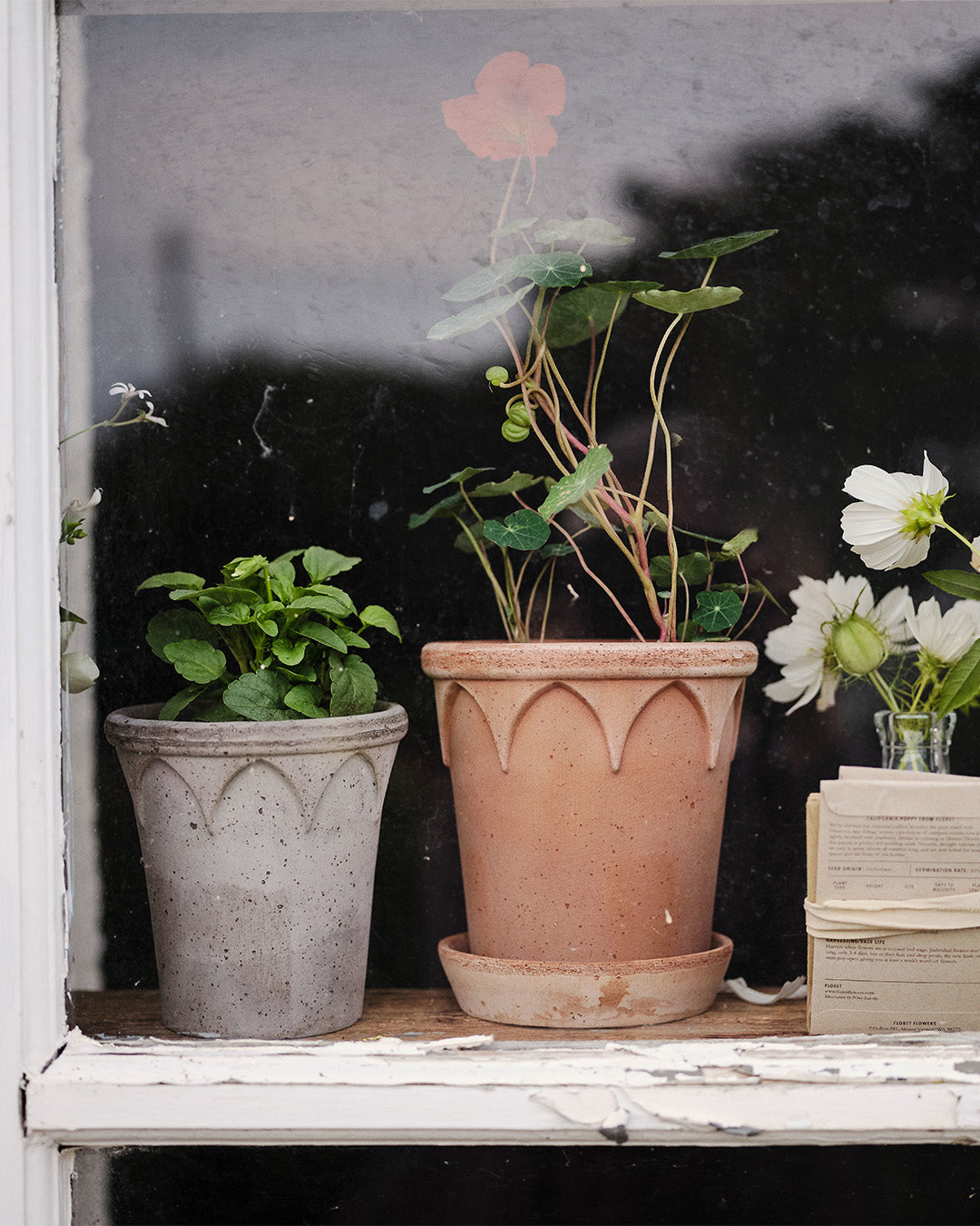Bergs Potter Elizabeth Pot Rosa Terracotta