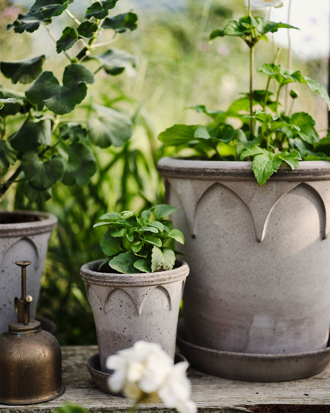 Bergs Potter Elizabeth Pot Grey Terracotta