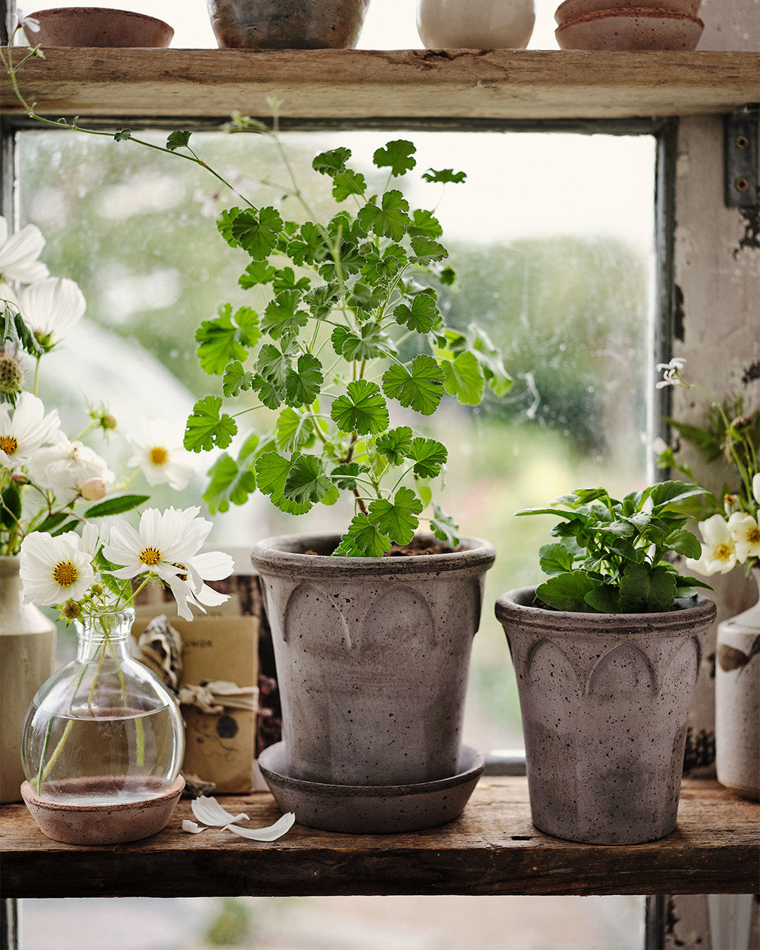 Bergs Potter Elizabeth Pot Grey Terracotta