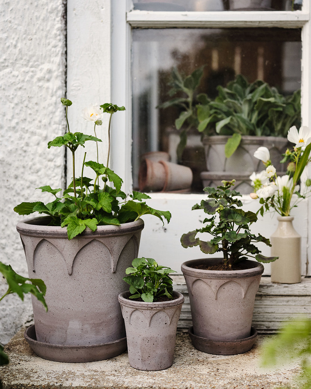 Bergs Potter Elizabeth Pot Grey Terracotta