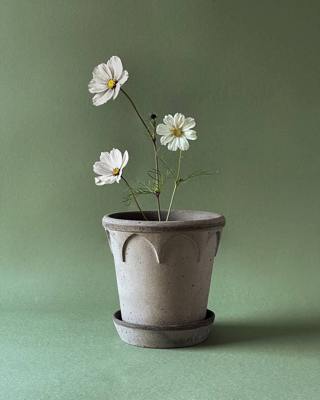 Bergs Potter Elizabeth Pot Grey Terracotta