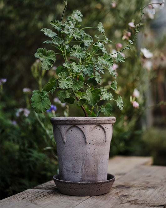 Bergs Potter Elizabeth Pot Grey Terracotta