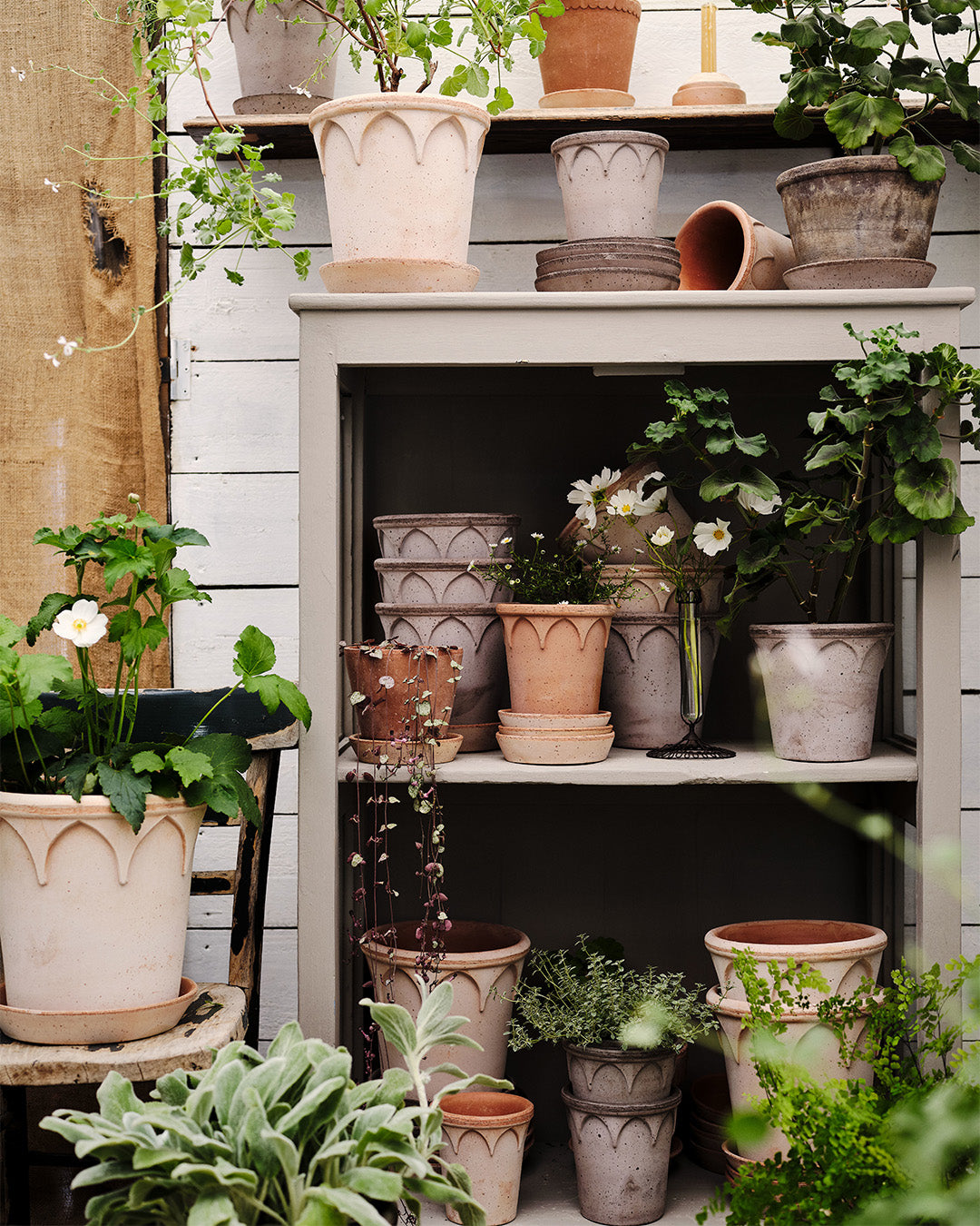 Bergs Potter Elizabeth Pot