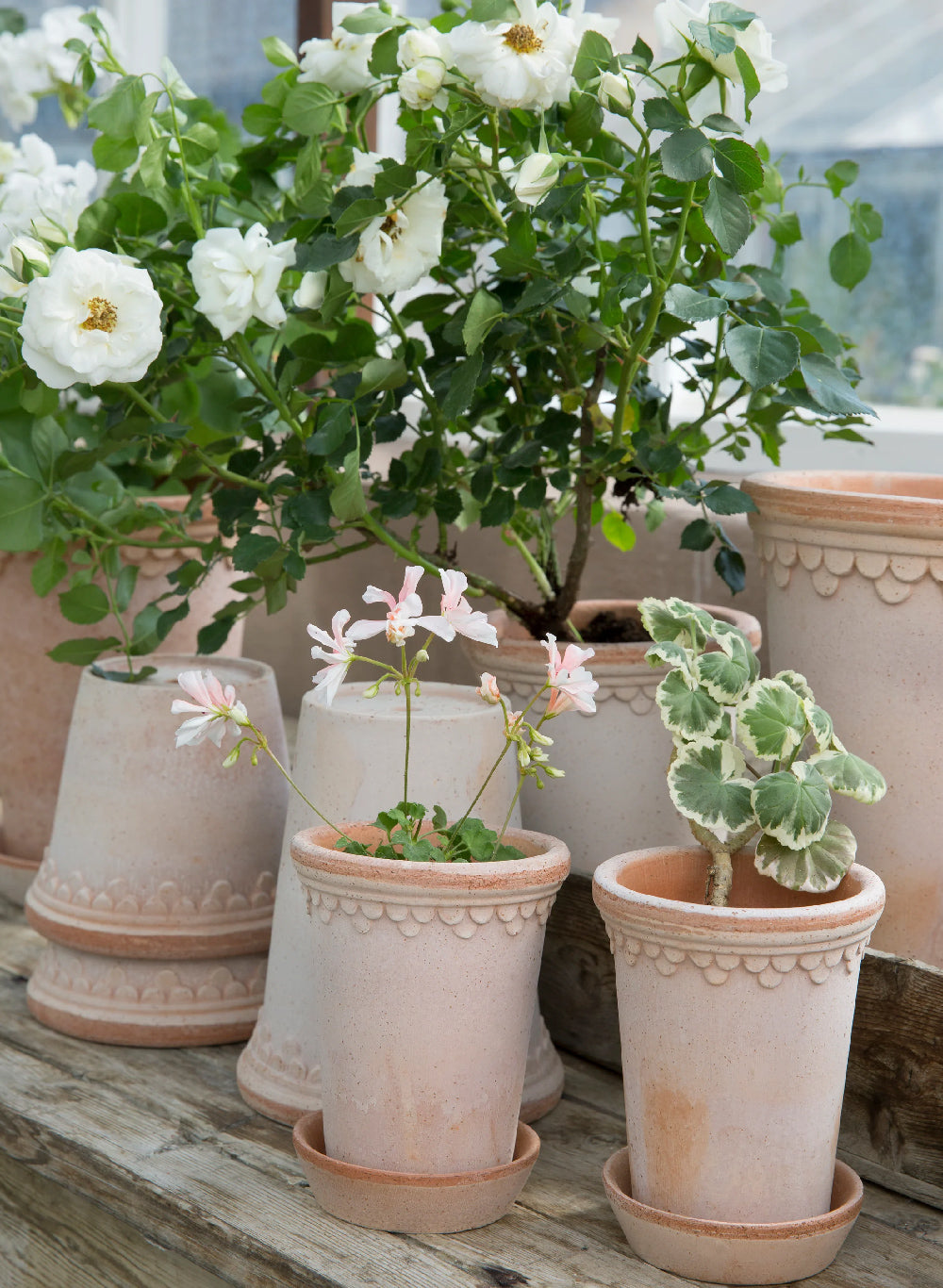 Bergs Potter Kobenhavner Pot Tall Rosa Terracotta