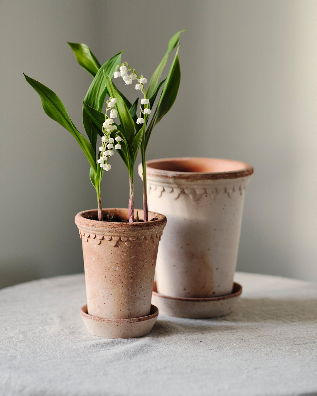 Bergs Potter Kobenhavner Pot Tall Rosa Terracotta