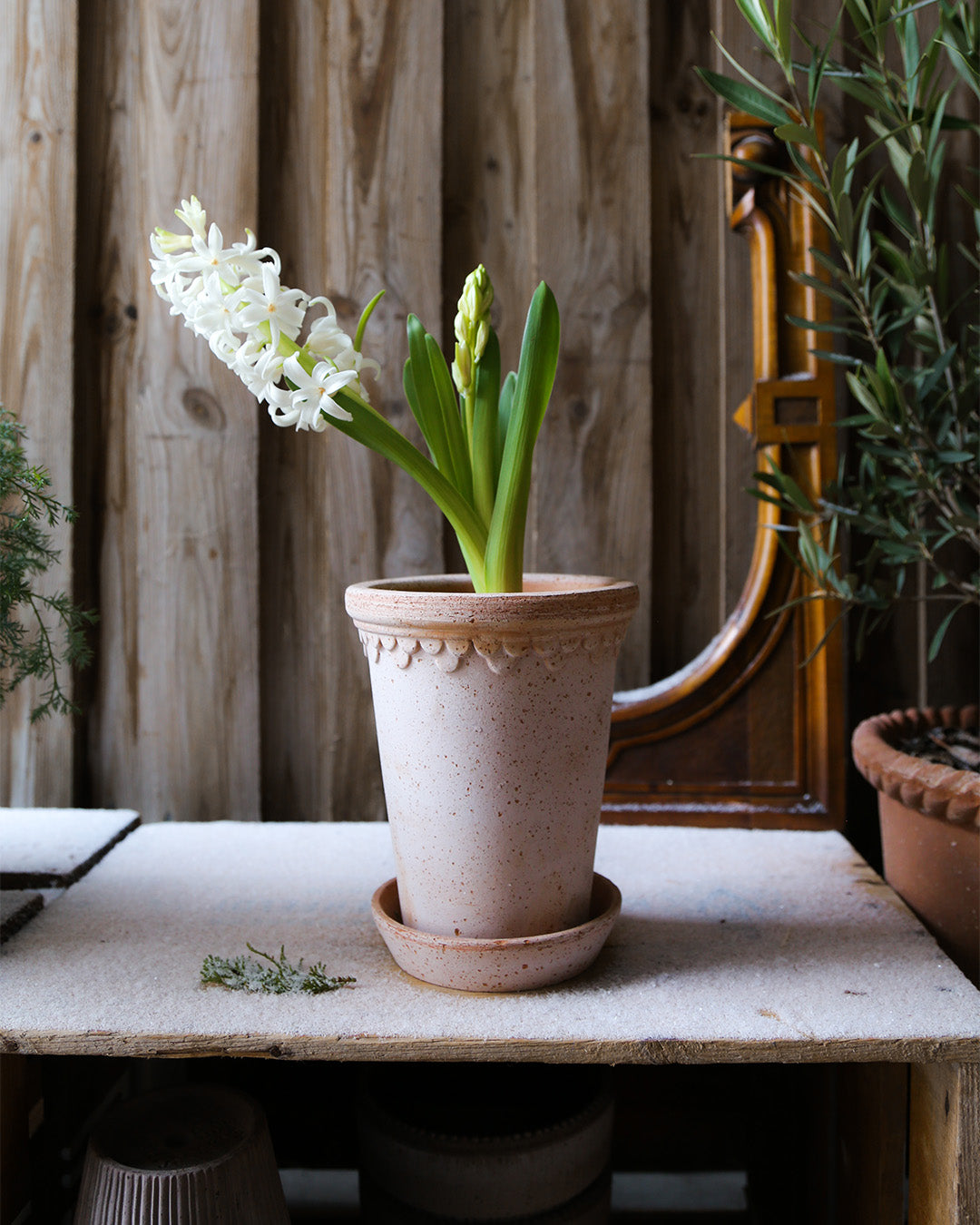 Bergs Potter Kobenhavner Pot Tall Rosa Terracotta