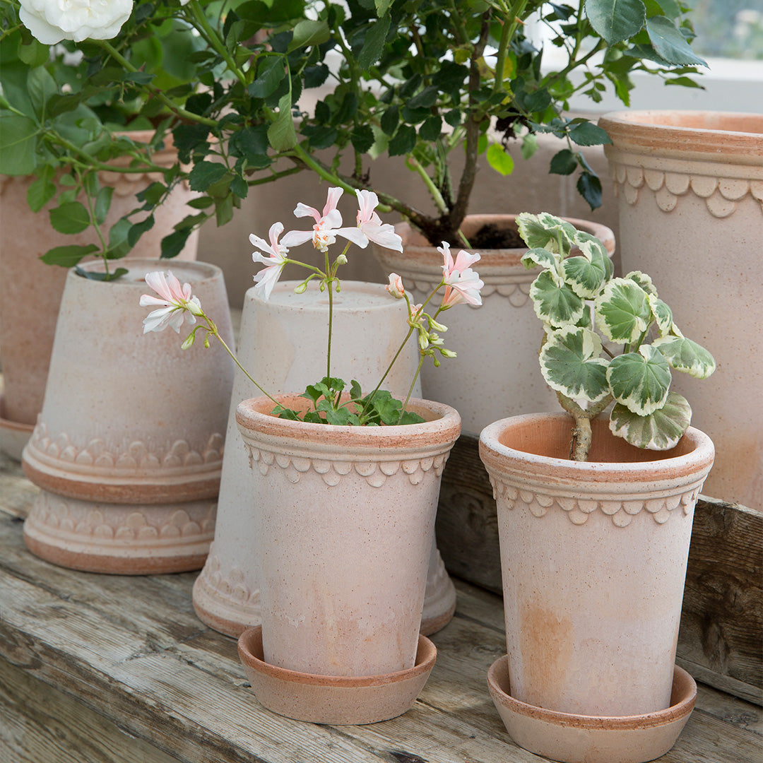 Bergs Potter Kobenhavner Pot Tall Rosa Terracotta