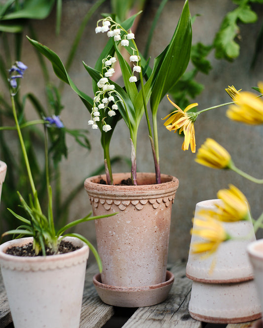 Bergs Potter Kobenhavner Pot Tall Rosa Terracotta