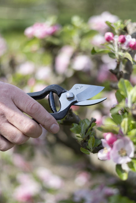 Niwaki Joppari Secateurs