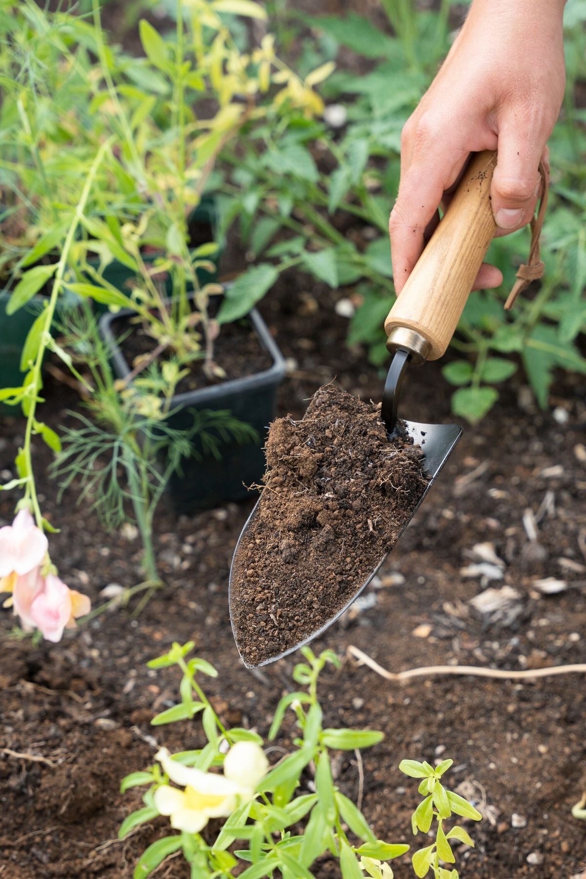 Niwaki Moku Trowel - Gardening Tools