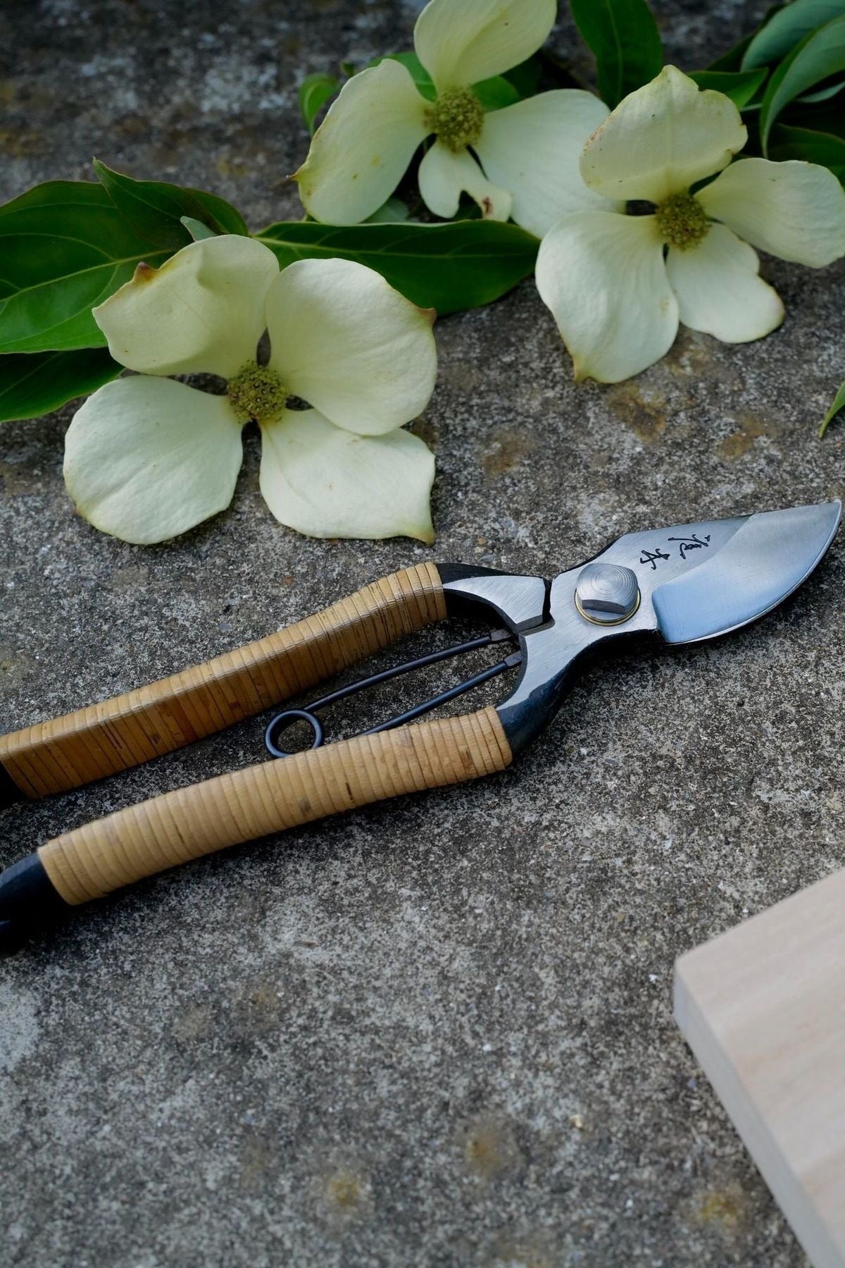 Niwaki Fujimaki Rattan Secateurs