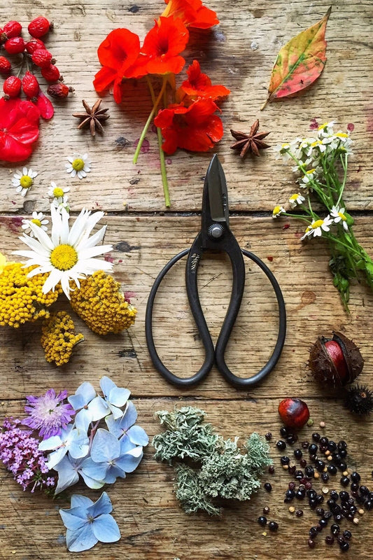 Niwaki Sentei Garden Scissors