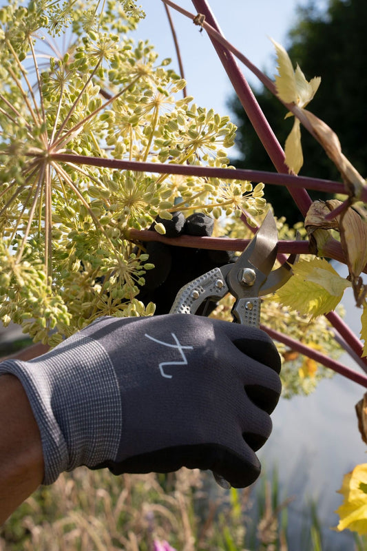 Niwaki Shumatsu Secateurs