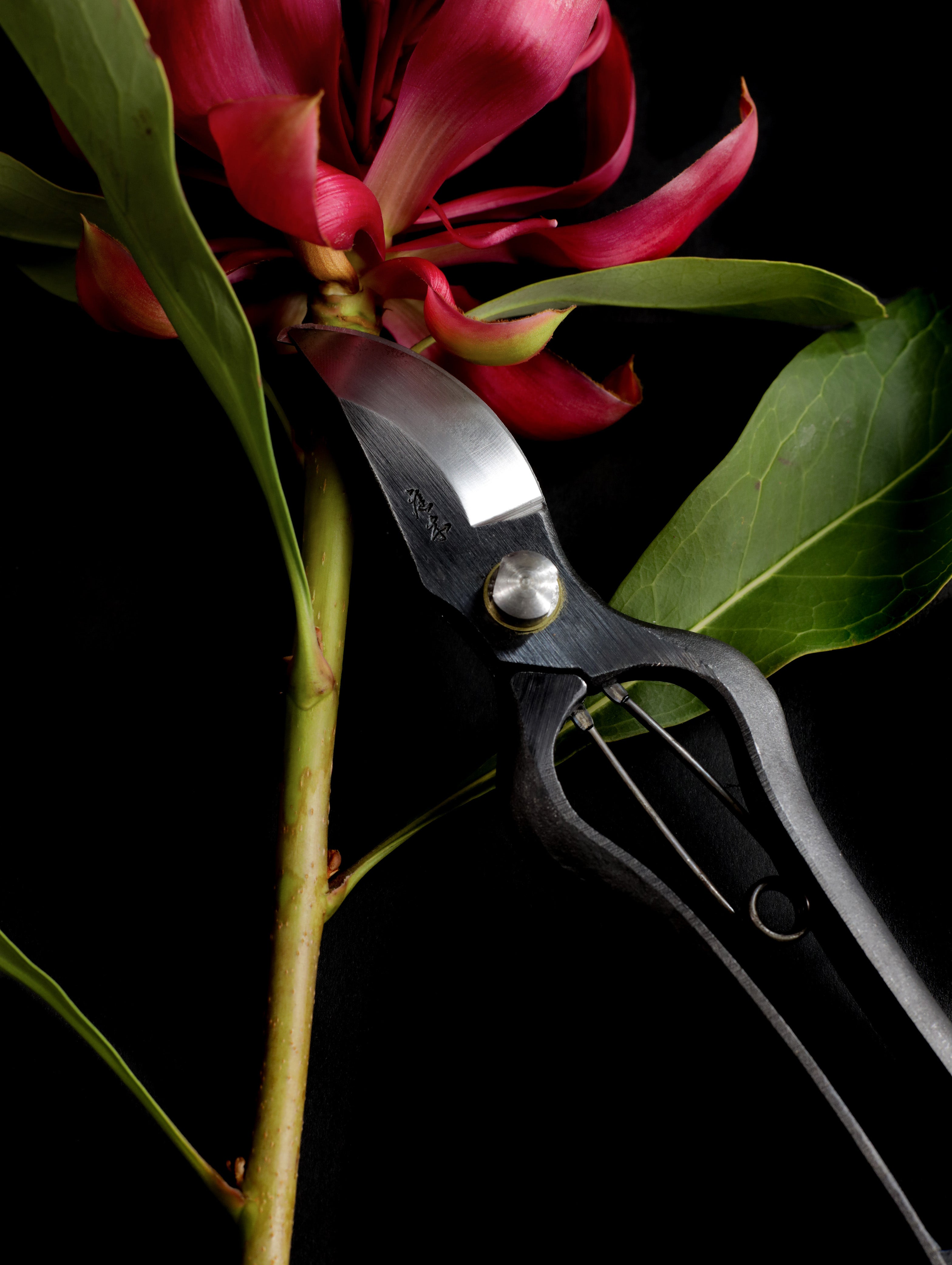 Niwaki Secateurs