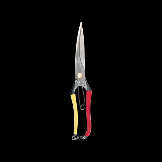 Tobisho Barracuda Clippers