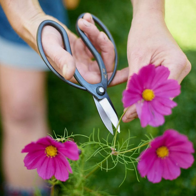 Niwaki Sentei Garden Scissors