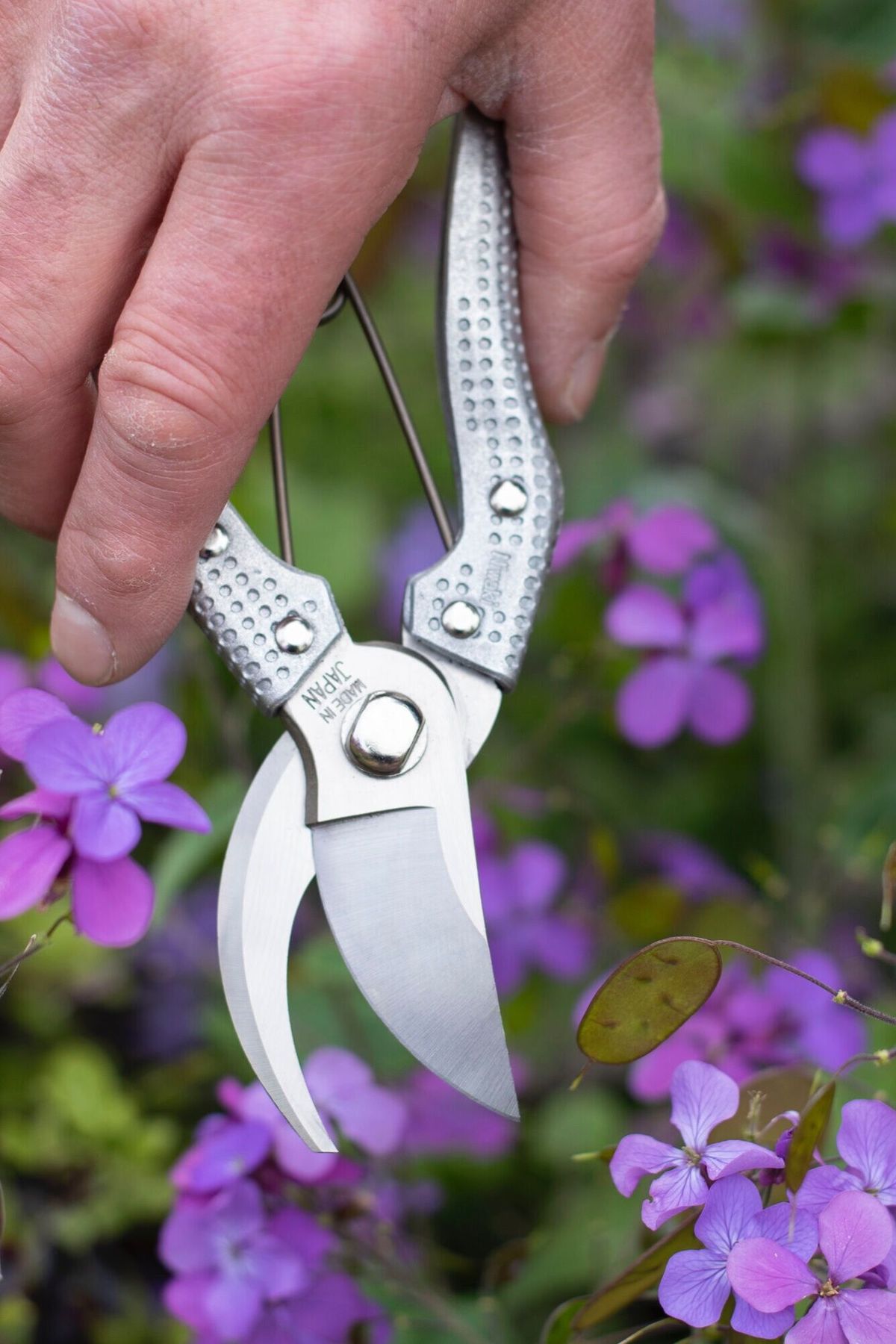 Niwaki Shumatsu Secateurs