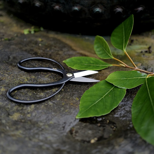 Niwaki Higurashi Scissors