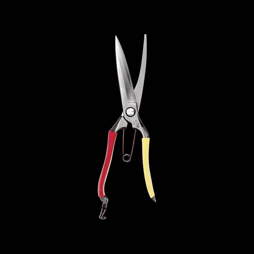 Tobisho Barracuda Clippers