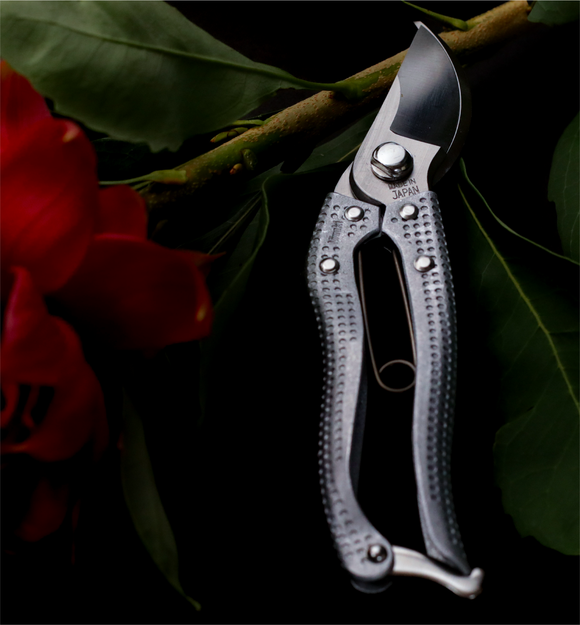 Niwaki Shumatsu Secateurs - Proteaflora