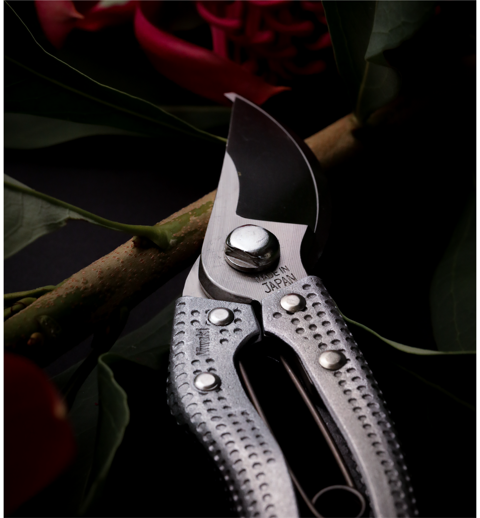 Niwaki Shumatsu Secateurs - Proteaflora