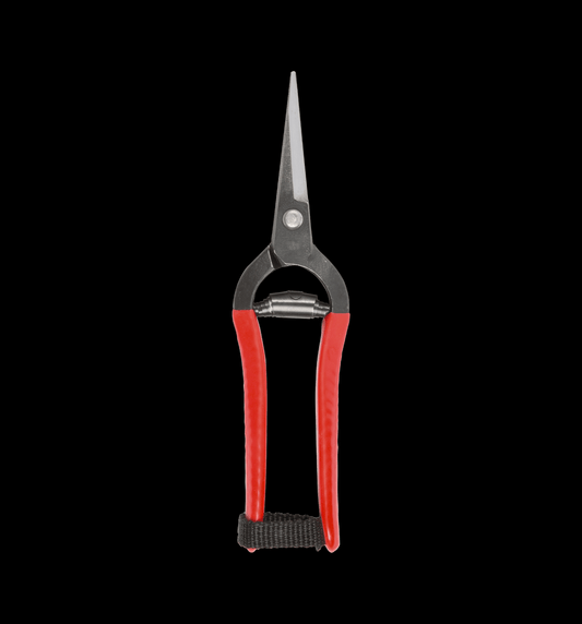 Niwaki Forged Snips - Proteaflora