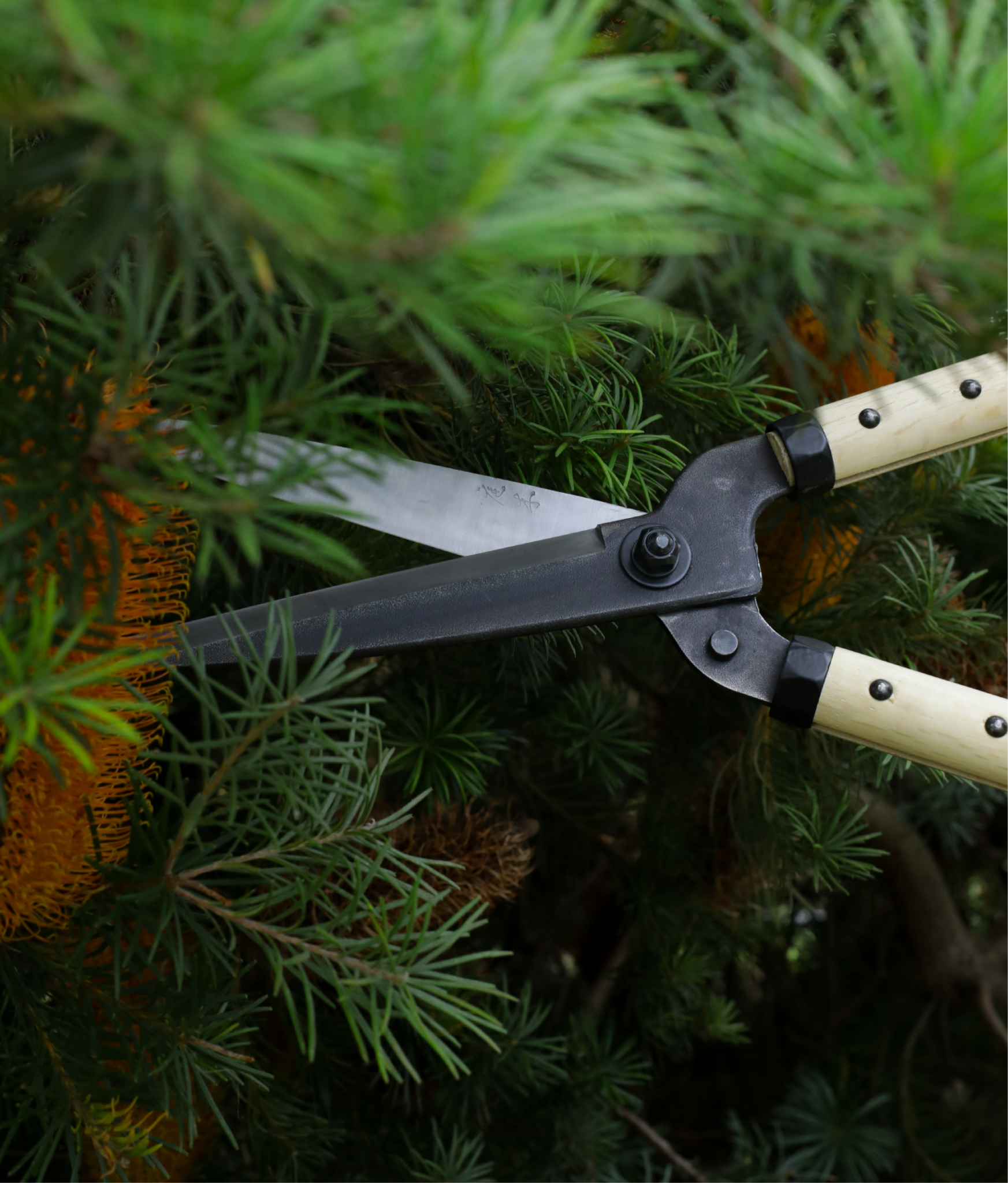 Niwaki Garden Shears + Sheath