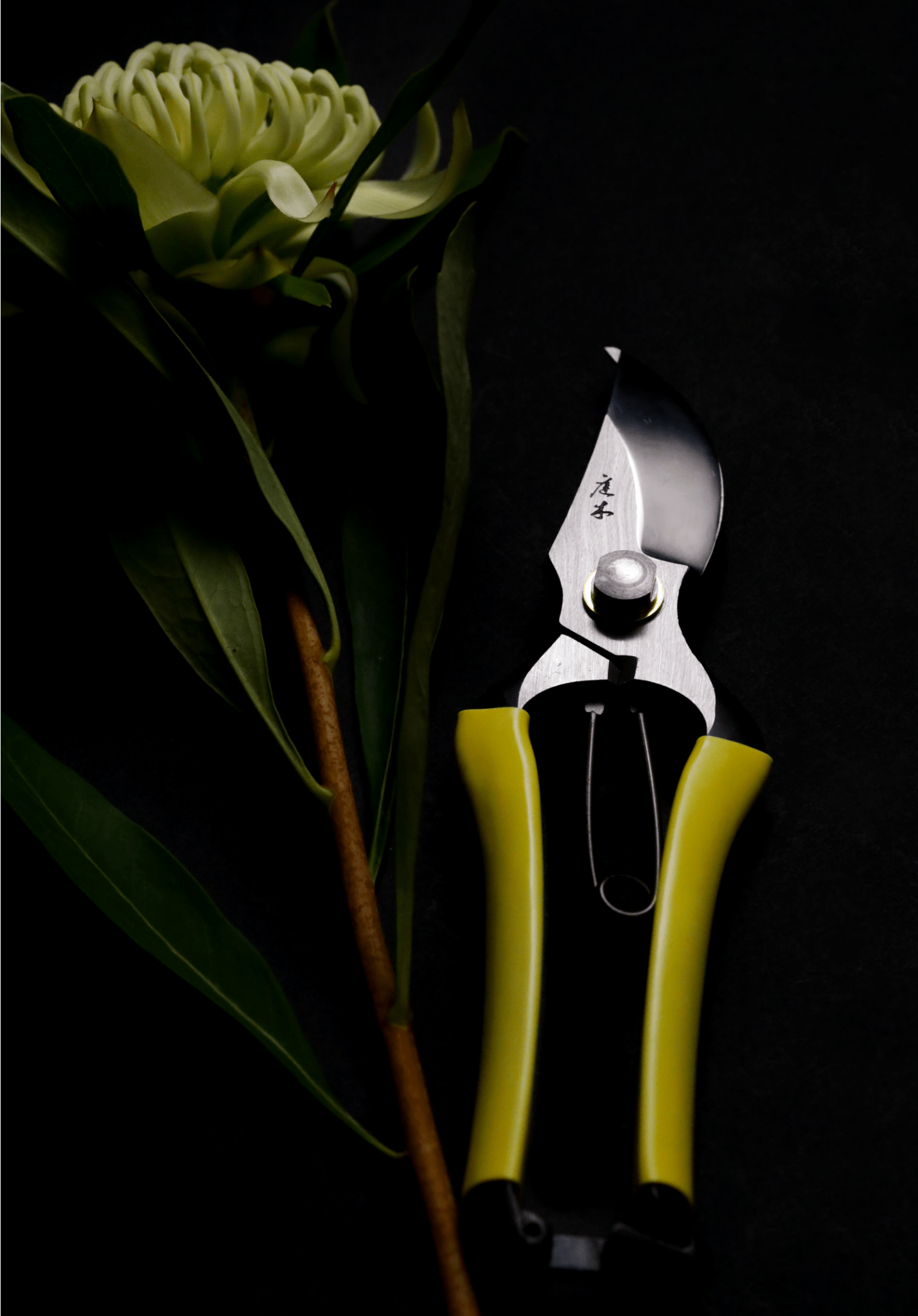 Niwaki GR Pro Secateurs - Proteaflora