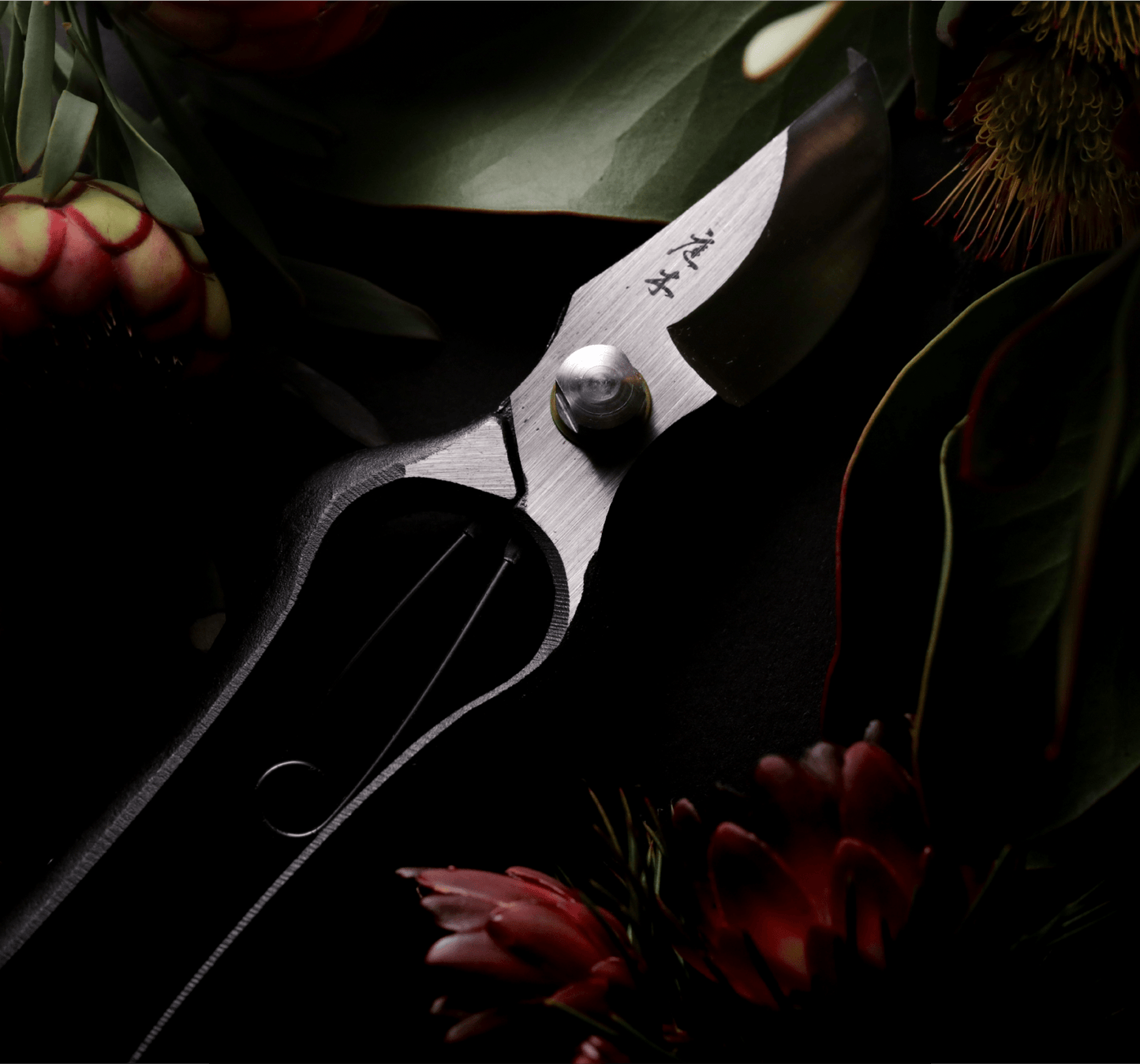 Niwaki Higurashi Secateurs - Proteaflora