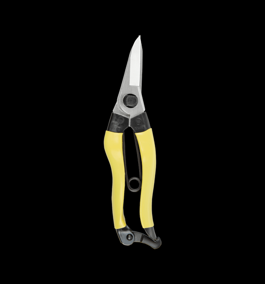 Niwaki Mainichi Snips - Proteaflora