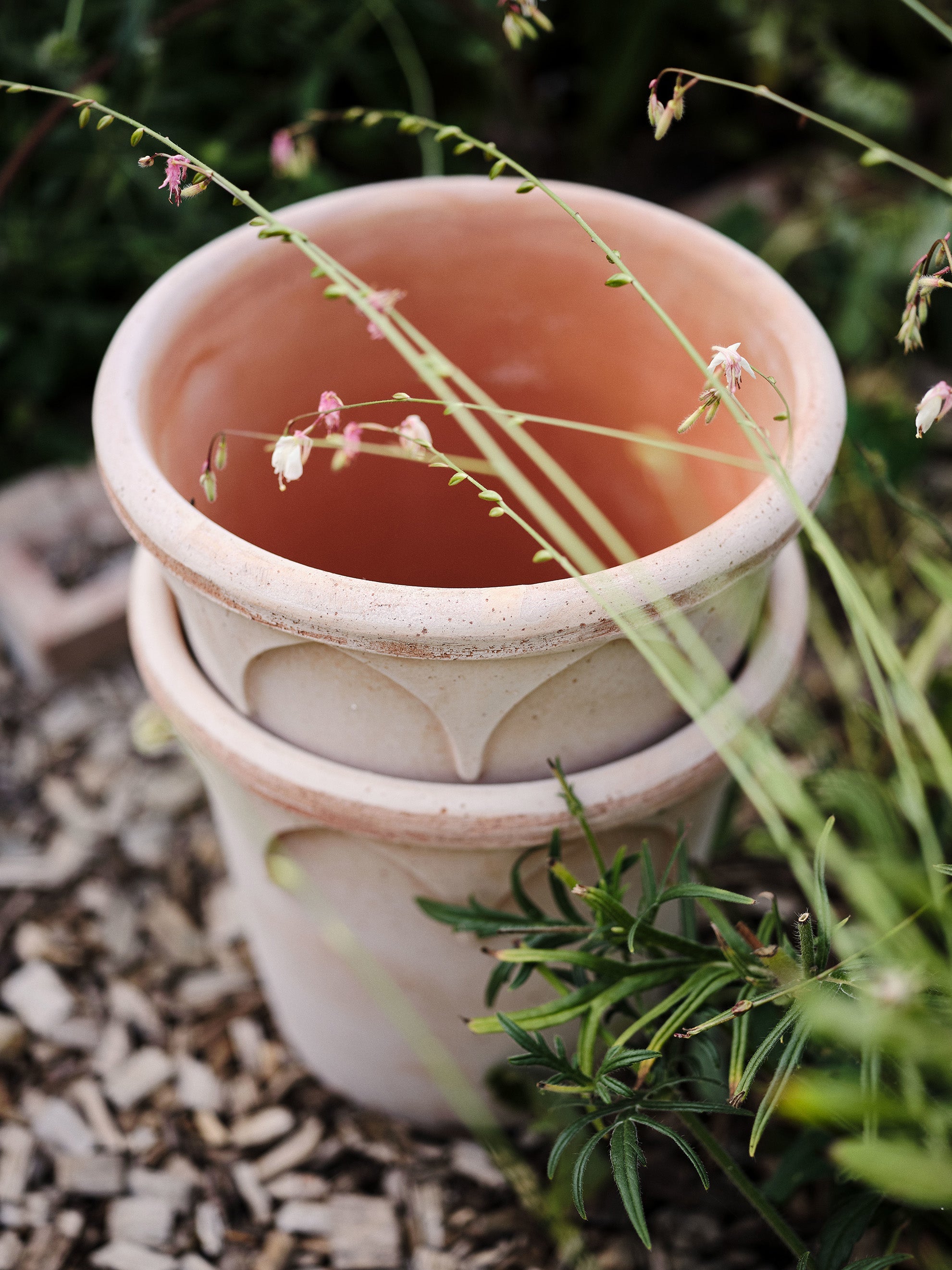 Pots & Planters