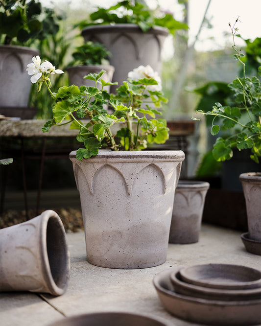 Bergs Potter Elizabeth Pot Grey Terracotta