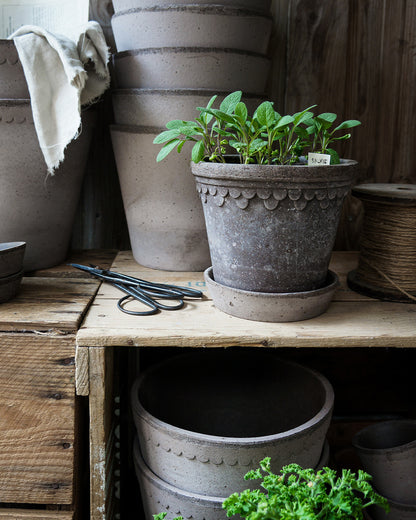 Bergs Potter Kobenhavner Pot Grey Terracotta