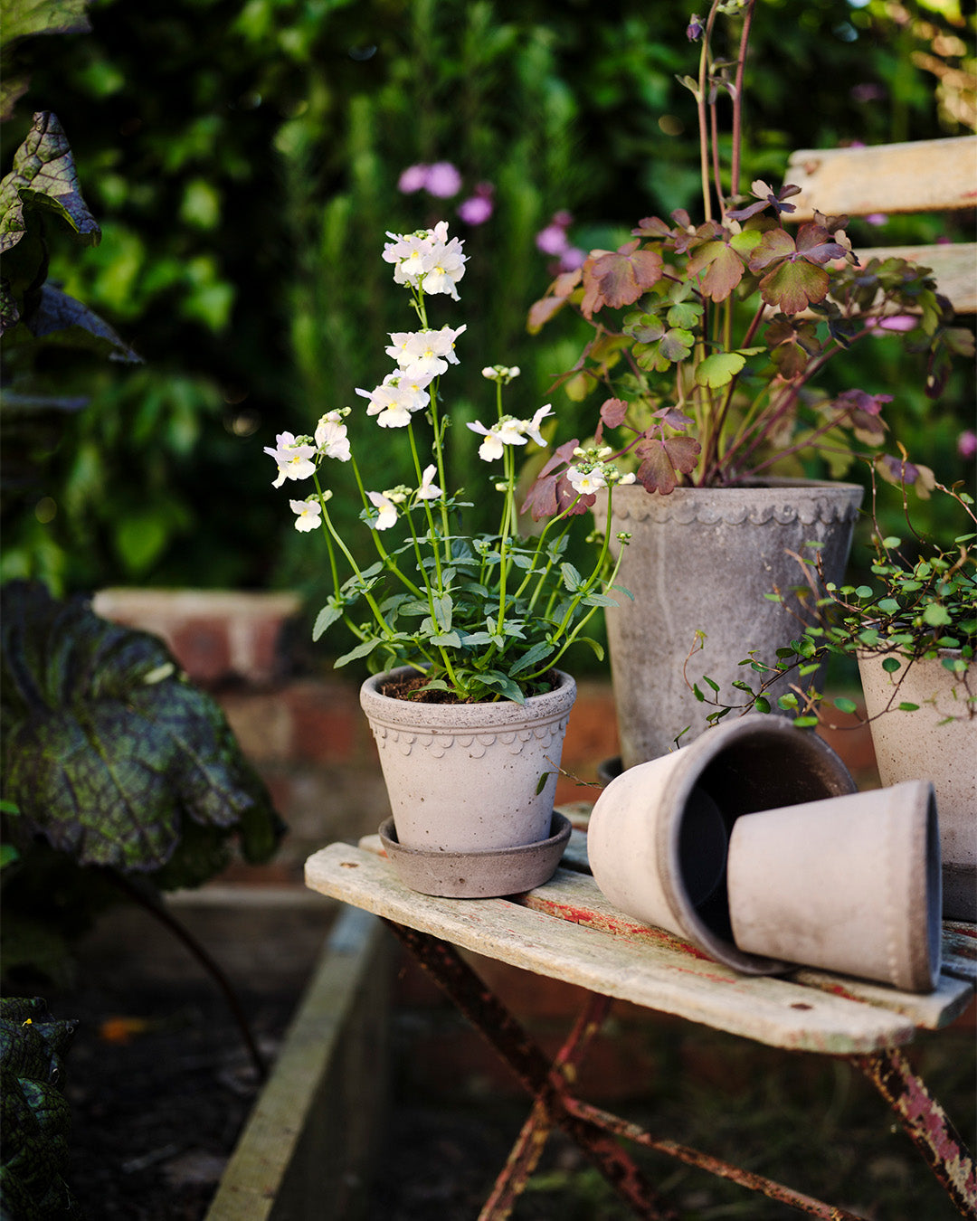 Bergs Potter Kobenhavner Pot Grey Terracotta