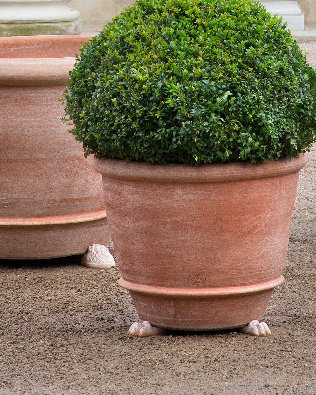 Bergs Potter Lion Paw Pot Feet