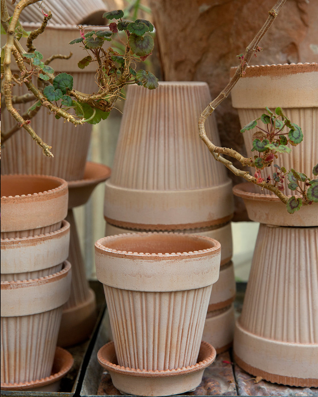 Bergs Potter Simona Pot & Saucer