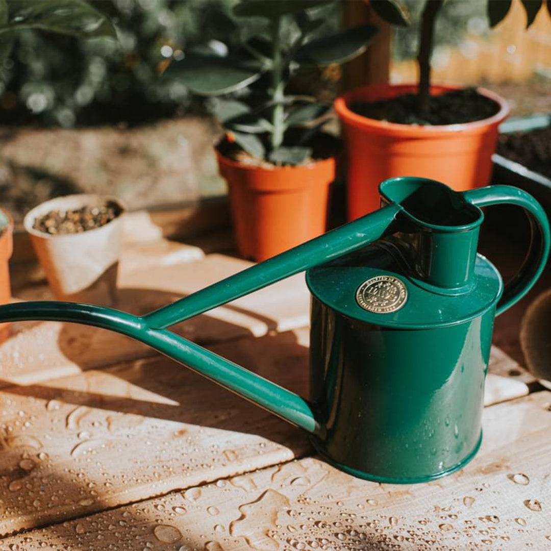 Haws Classic Watering Can & Mister Gift Set in Green & Brass