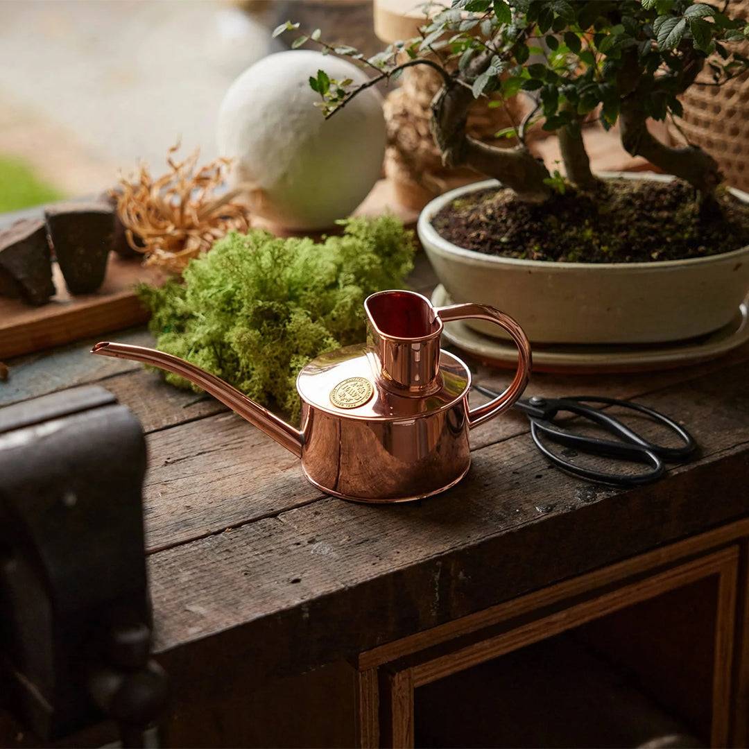 Haws ‘The Fazeley Flow’ Copper One Pint Copper Watering Can