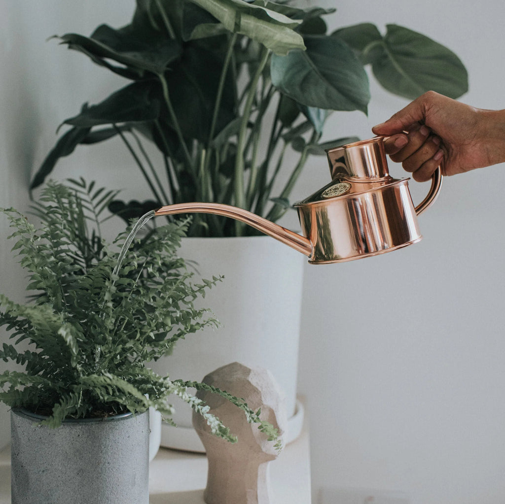 Haws ‘The Fazeley Flow’ Copper One Pint Copper Watering Can