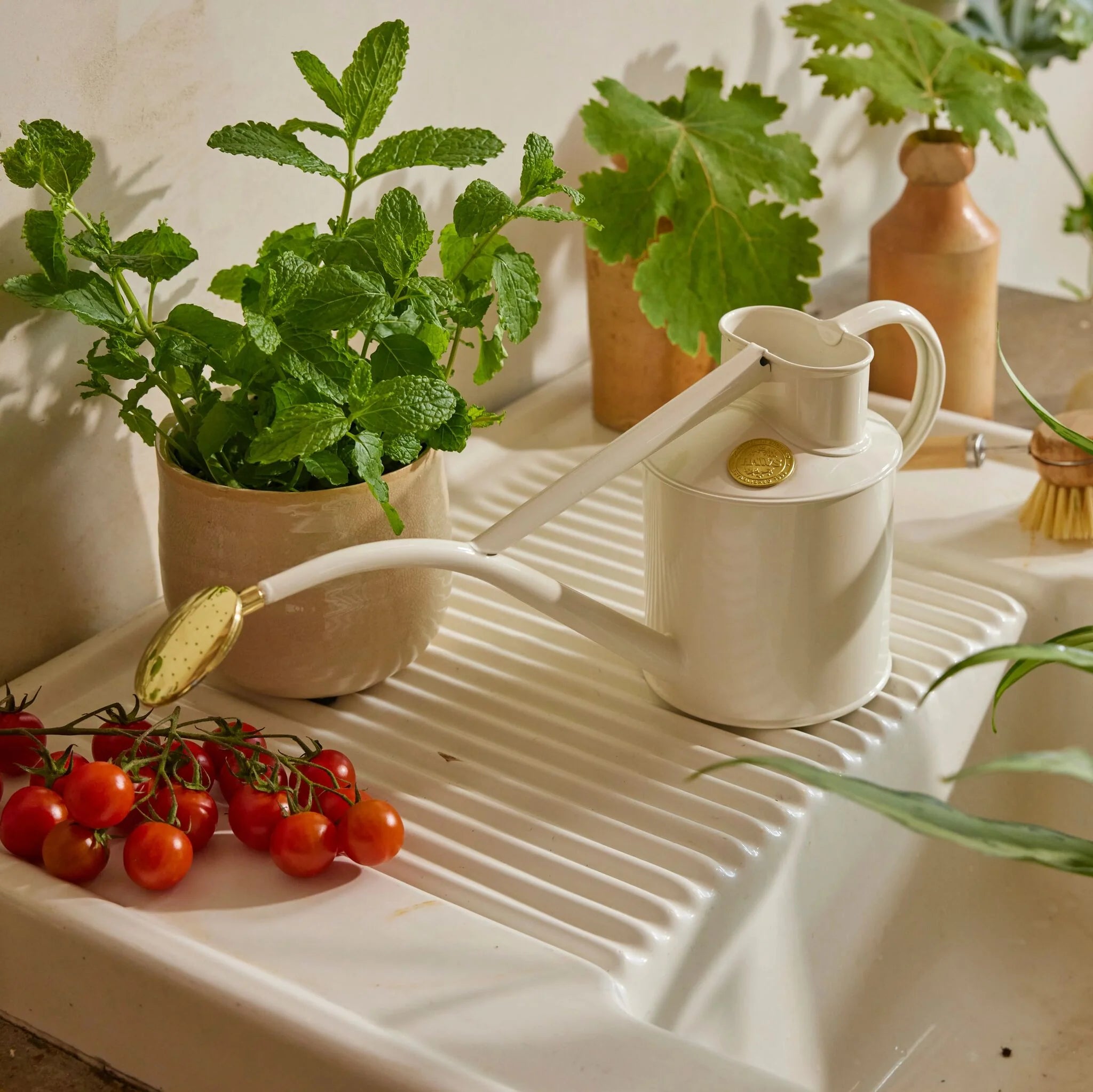 Haws ‘Rowley Ripple’ 1L Cream Watering Can