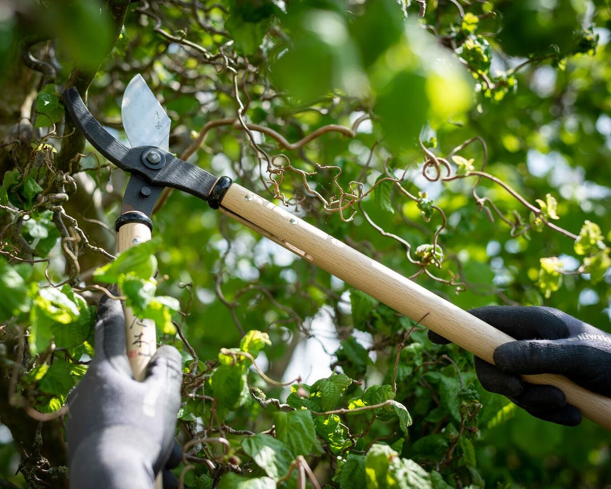 Niwaki Loppers - Pruning Shears