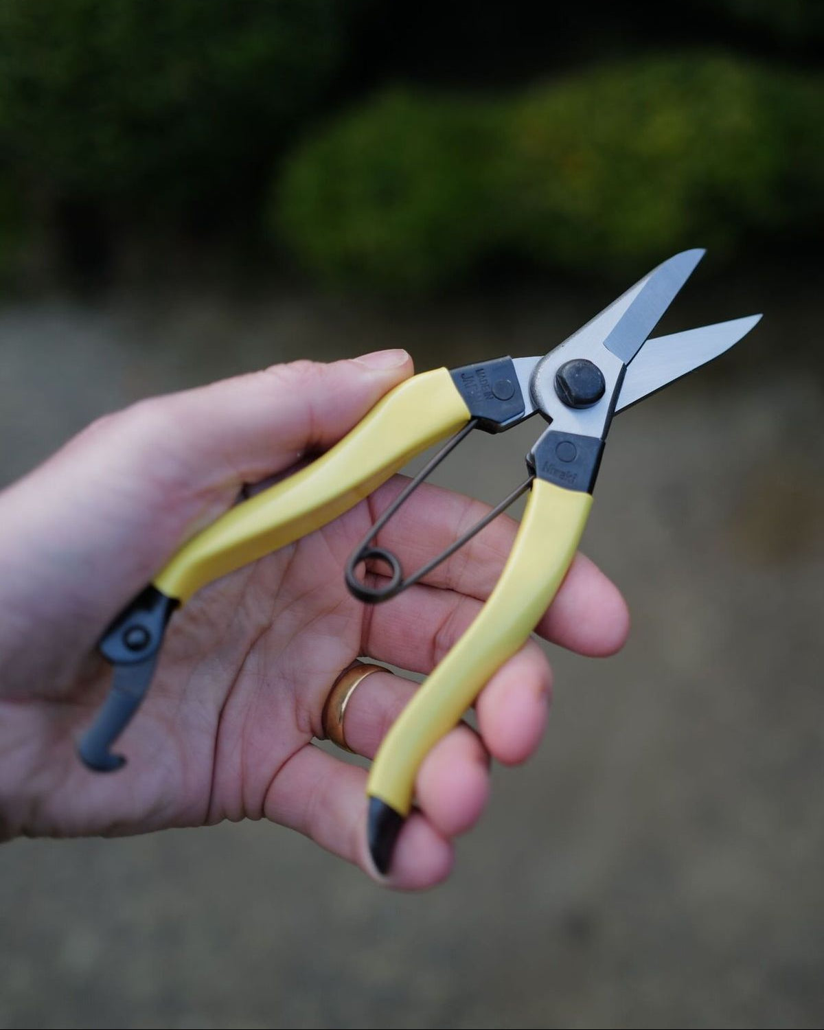 Niwaki Mainichi Snips