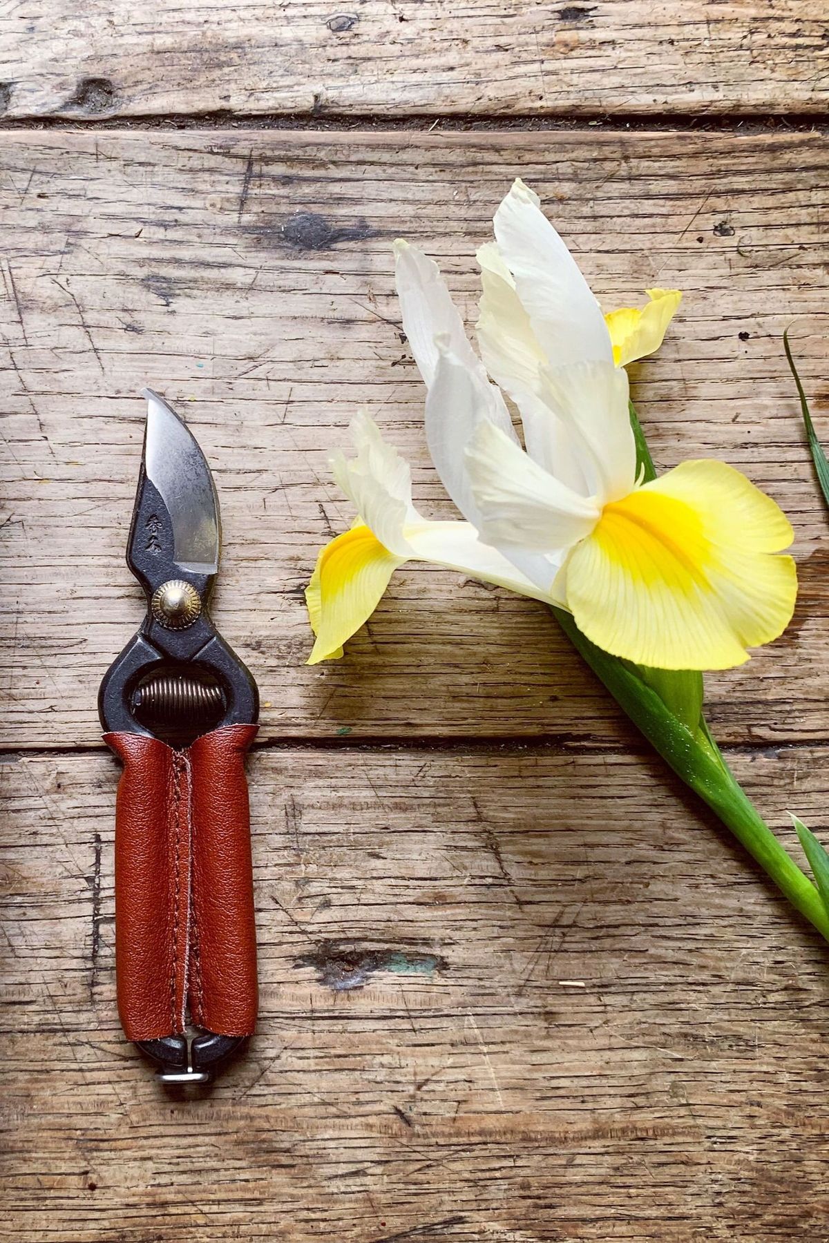 Niwaki Mini Secateurs
