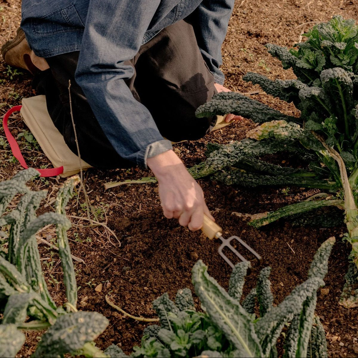 Niwaki Moku Cultivator