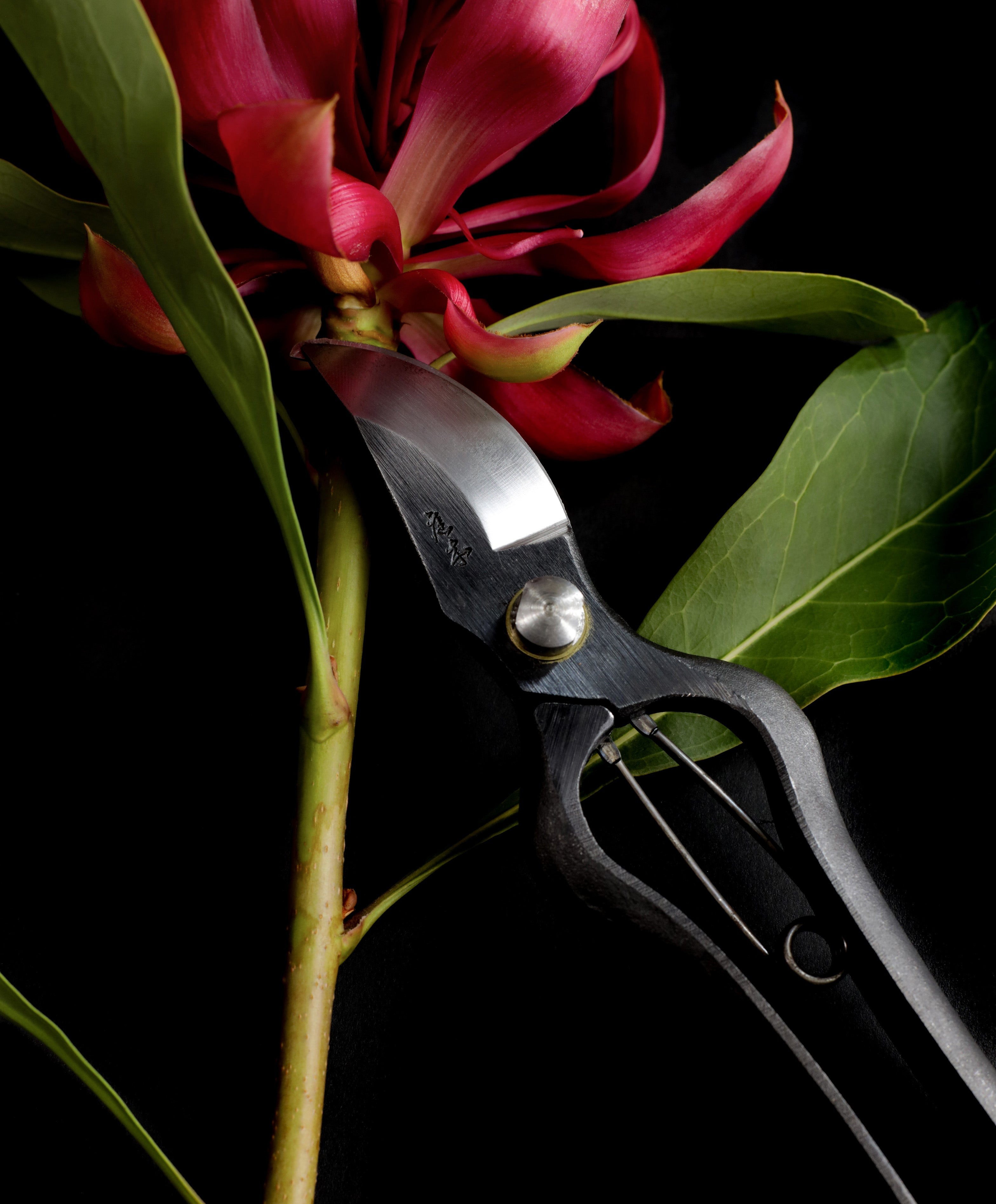 Niwaki Secateurs